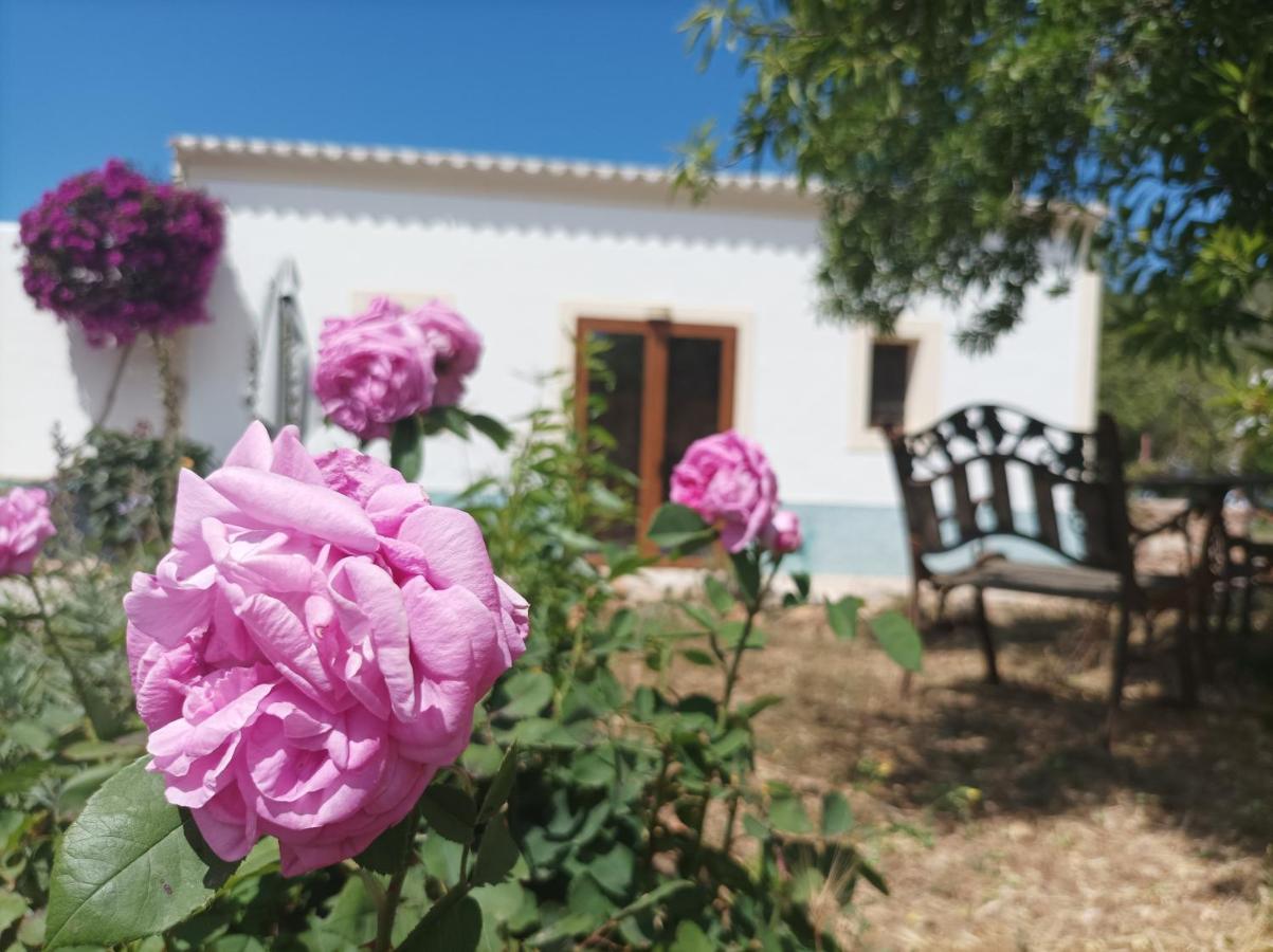 Сasa de vacaciones Pep Pardal Sant Miquel de Balansat